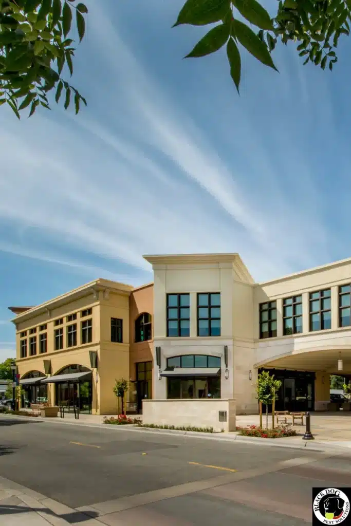 Commercial Services 1 Commercial Pest Control