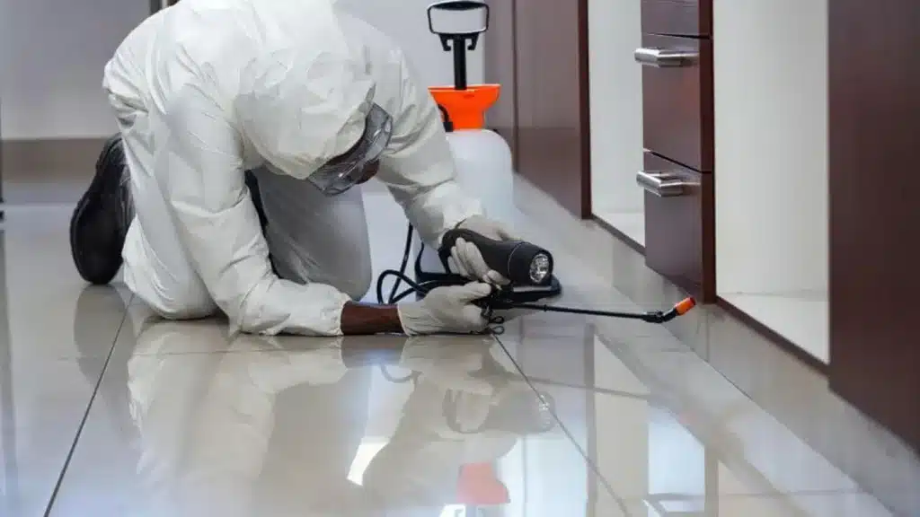 Exterminator spraying for pests