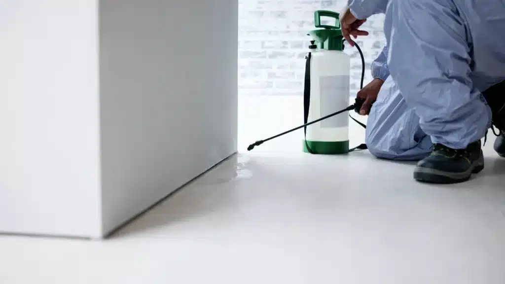 Exterminator spraying for pests