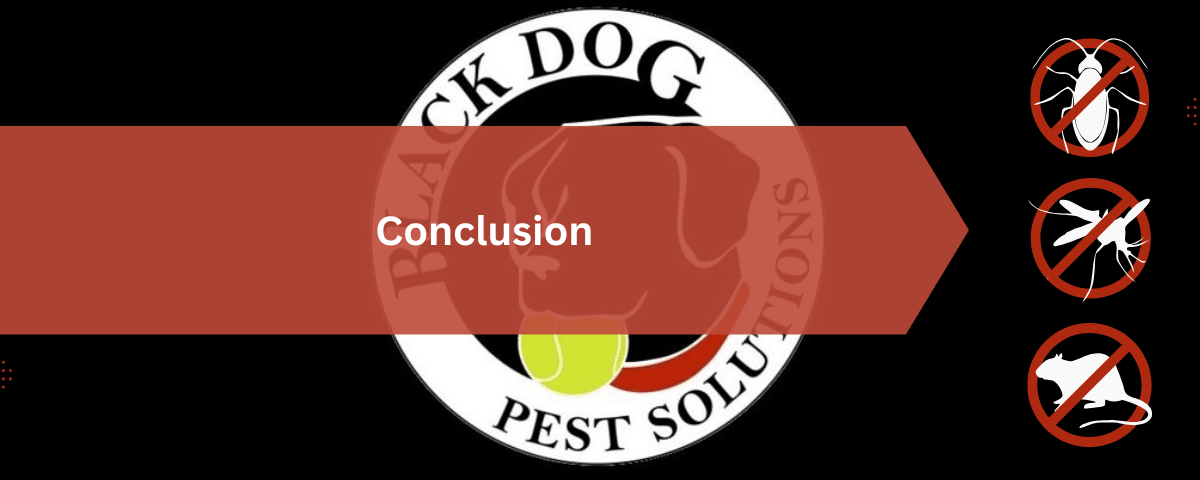 Conclusion