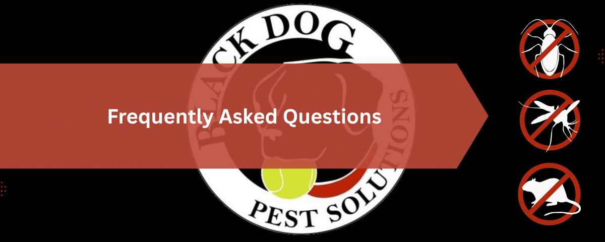 Frequently Asked Questions